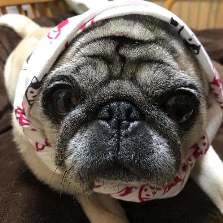 6d730572 0539 4a32 b87b 10db1e11406b 1543136865825