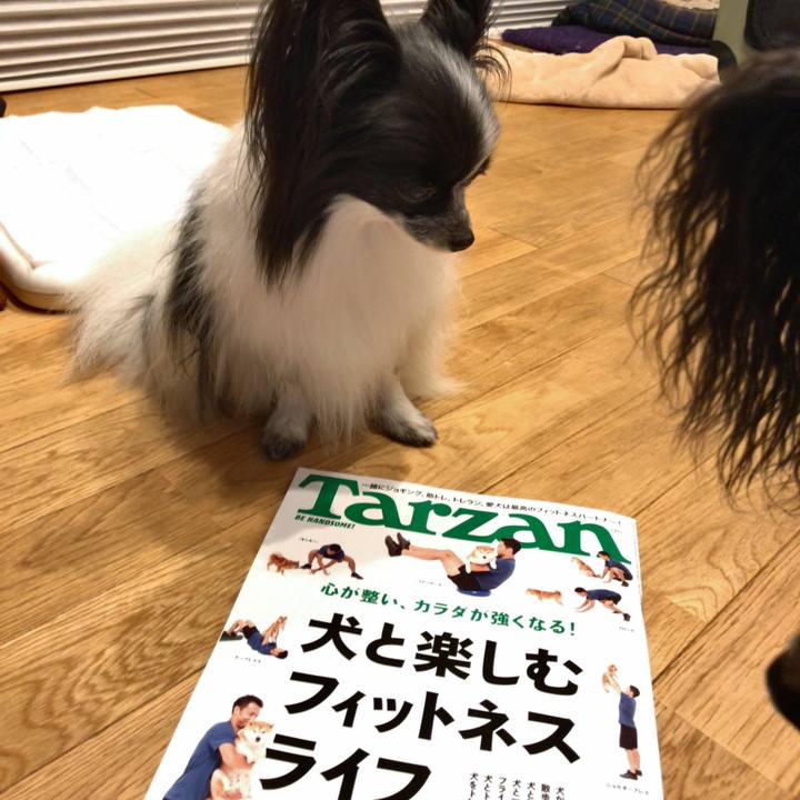 6d732cdb a3e3 4aec 8151 778a7d7760dd 1539258691188