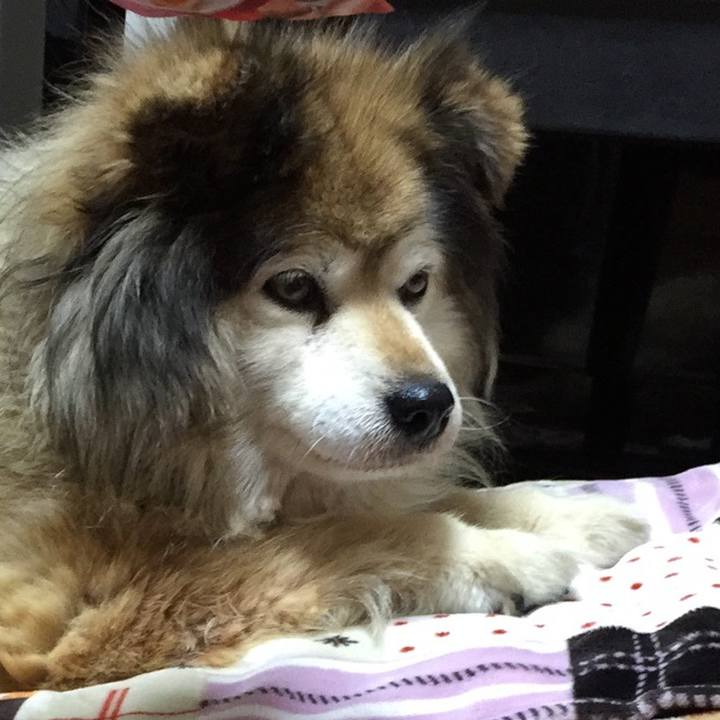 6d734209 02af 46a5 9d53 ad305dc29471 1616380179165