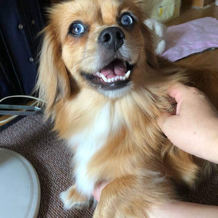 6d73449f f0b9 4cbf bcda e60c836f5a1b 1531711617635