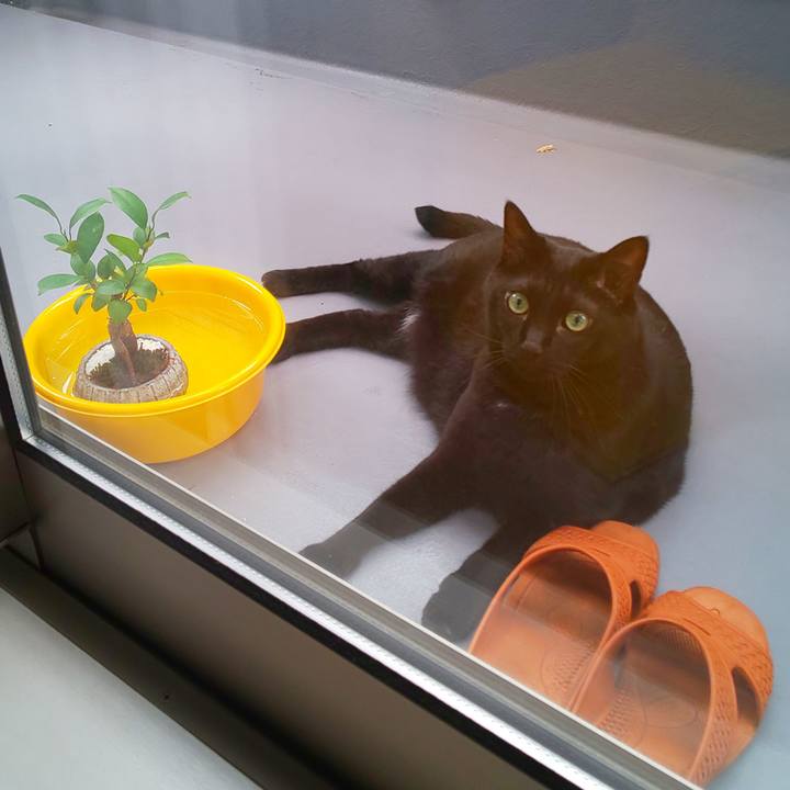 6d735203 0e6d 4499 a261 ca5eb6ce101d 1755910926730