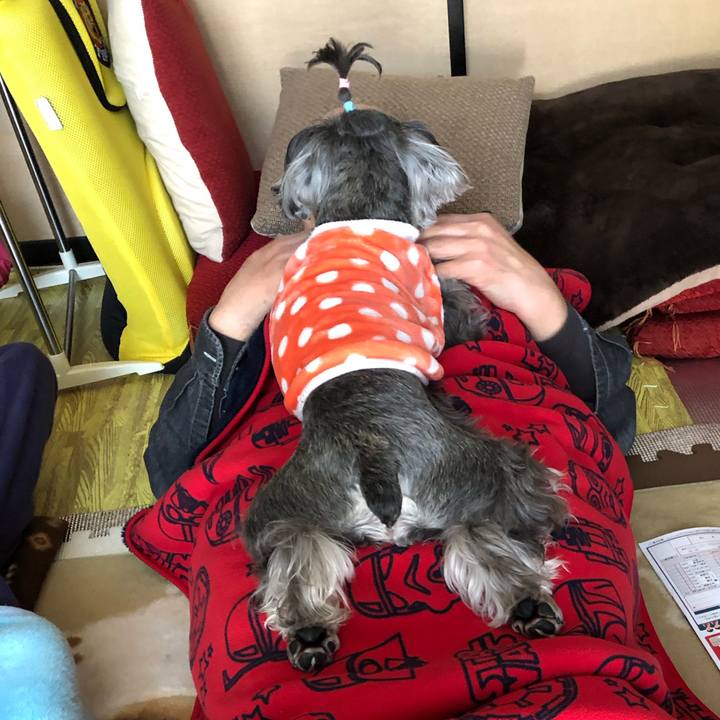 6d7368ce 5915 4dc5 a85f 1b6a9729c7a9 1554645450353