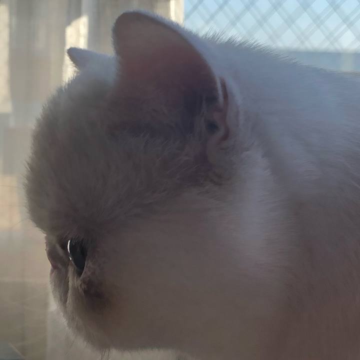 6d7377cc 8496 4985 a900 c2a0da1a35fb 1558756266988