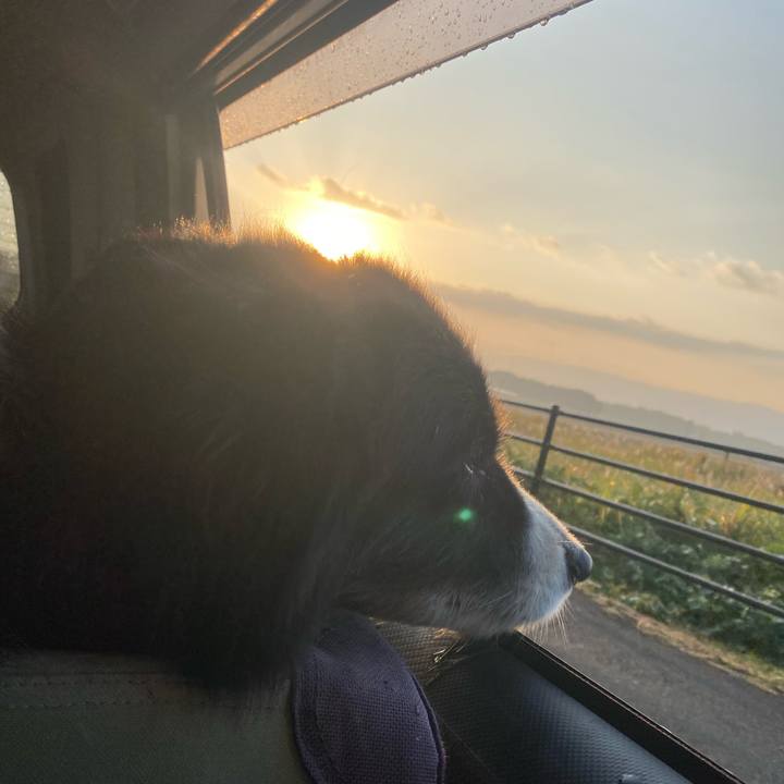 6d737dbf fe3f 490c a946 52e087a8310c 1698444511549