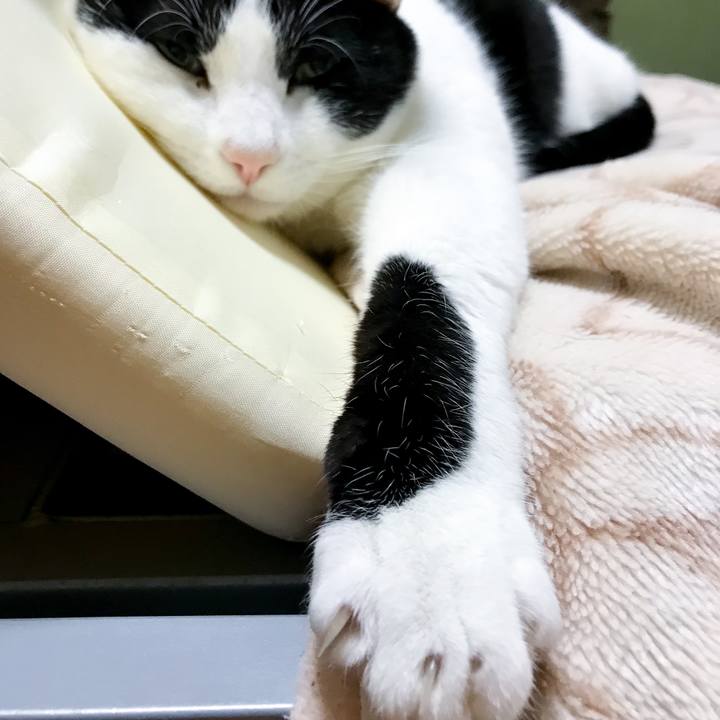 6d7381af bf97 4c89 8d1c 2abb93a4b79a 1515842752696