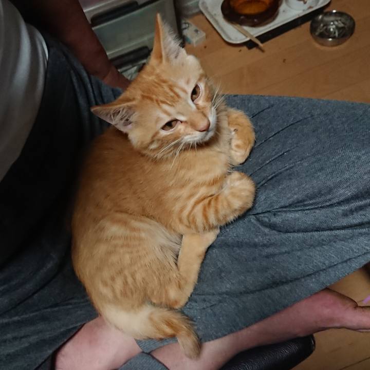 6d73bb3f afbb 49a4 a135 7f8eec402448 1632045906332