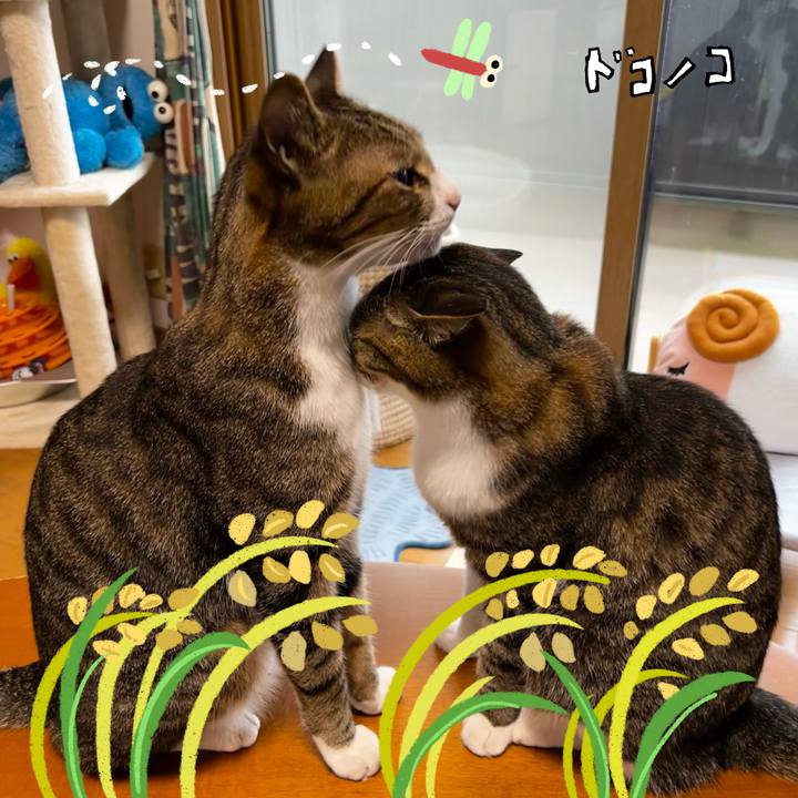 6d73ca95 9d9d 4bc2 8f25 2d2e3c1e05ef 1761301139970