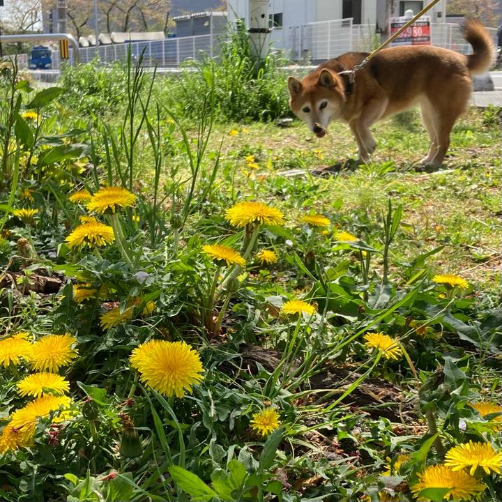 6d73caac acf8 4aa1 b81d 2a749164dff2 1649559808723