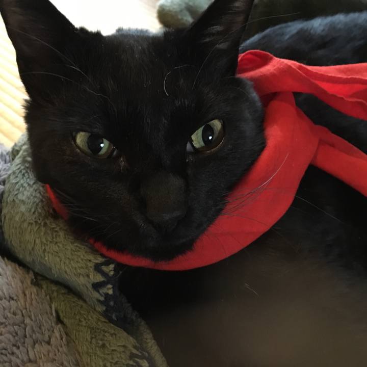 6d73ce3e 4290 4ae3 af59 2689de648476 1573605325445