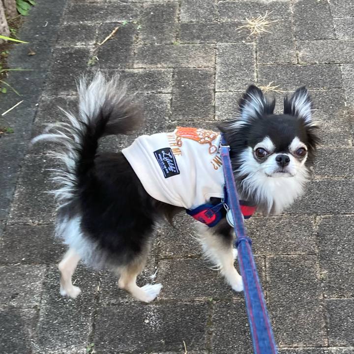 6d73dc83 8a77 4907 a4aa b194a16357d7 1704538450732