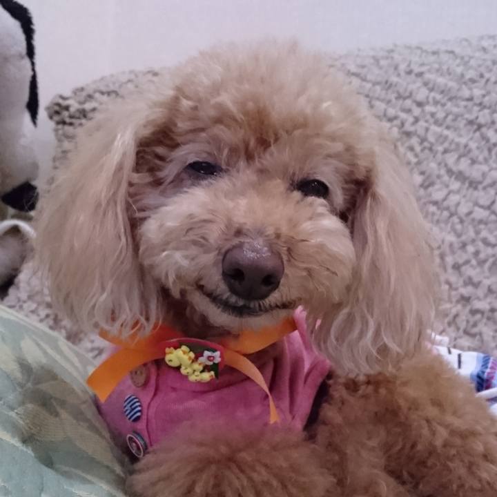 6d73ea92 fb2a 4802 97f9 b2a4ef6b3a20 1542975791147