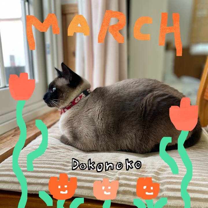 6d7486ee 61e8 4ddd 9254 cb8d1e59de89 1741641348998