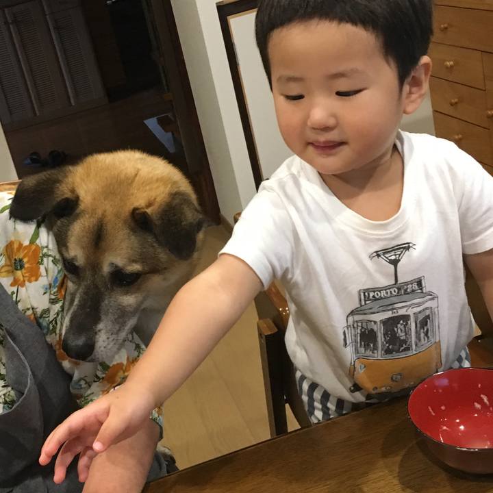 6d7488be 1371 48cb 9479 4a17f581eba7 1528970101934