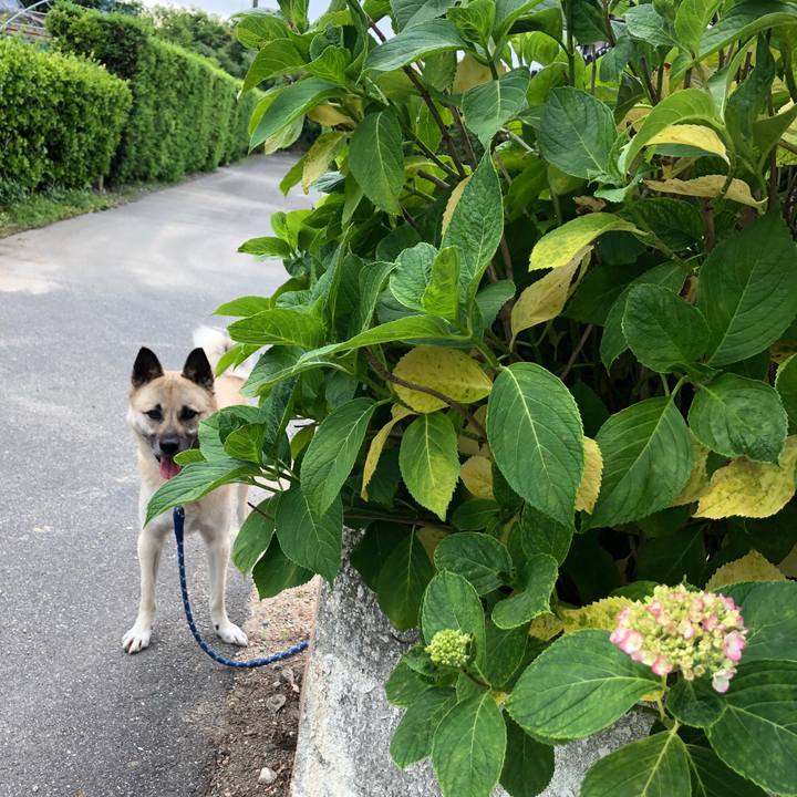 6d7493a0 e009 4e54 b64e 9143fa5ca17b 1591788476986