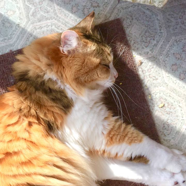 6d749796 1c69 4343 88ff e3b511d2f8bb 1557527392519