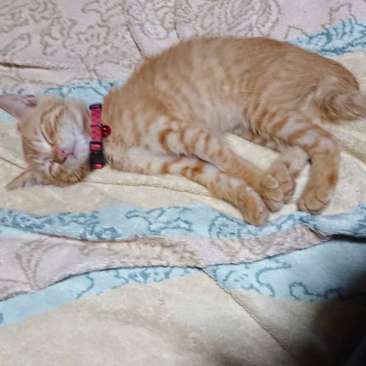 6d752194 d531 446f 86be a4eb5e9a1102 1628253784037