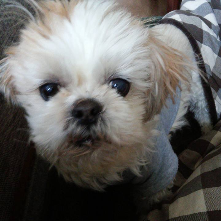 6d752db9 d9f9 4205 a36c 1486b040aed3 1515219747585