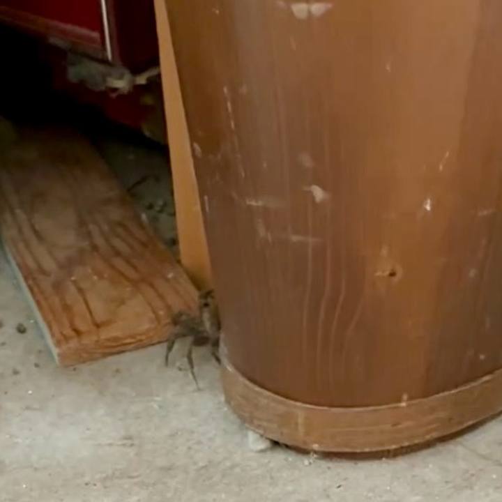 6d75511c 82da 473c a4c3 1dc0d01336da 1751942736309