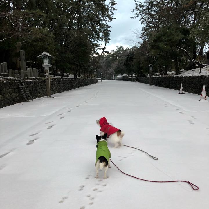 6d75540b ada2 4beb 9510 207d92663e67 1547678621866