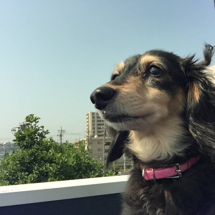 6d7570fa 5b57 4243 b293 52d2217f74b3 1529885762126