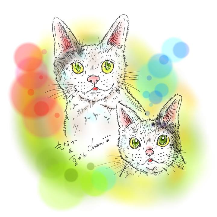 6d757115 182e 4721 bc3b c32ef1e07293 1584116274163