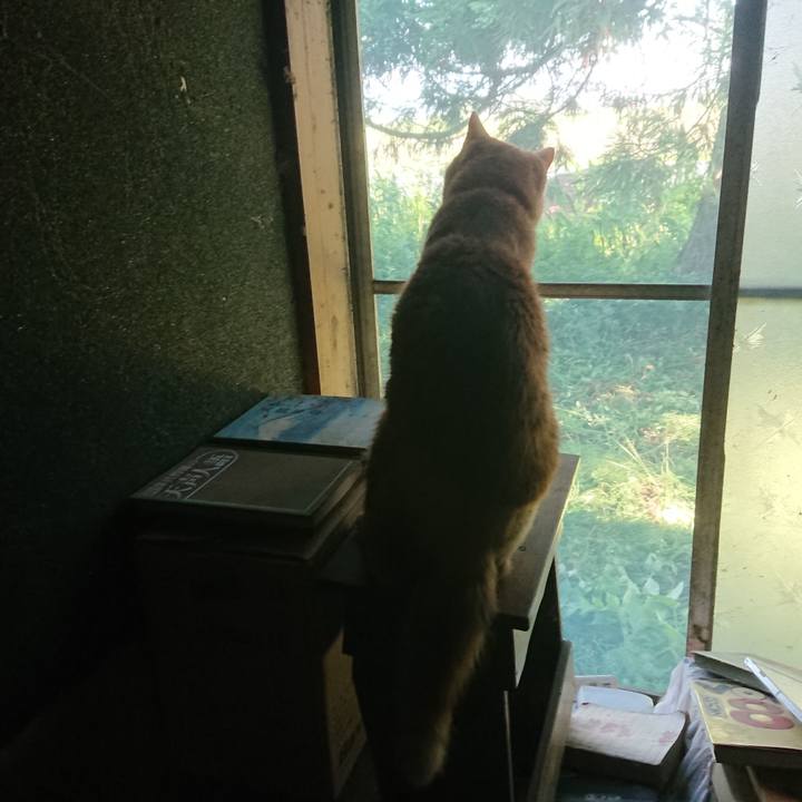 6d75728d d3d6 4a3e 9caf 72da495b16fa 1656715573125