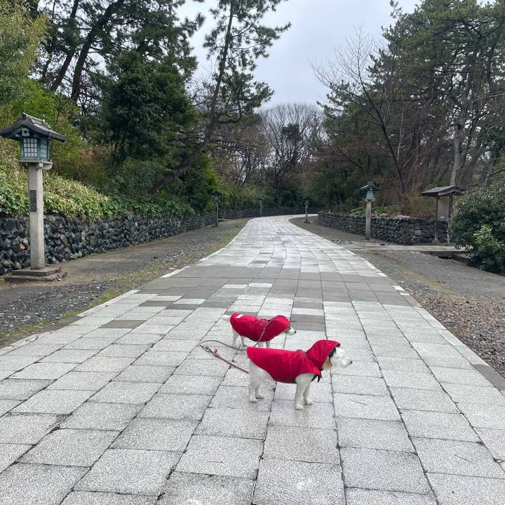 6d758009 53d7 4b5f ae12 2a1db208d1dd 1743635069353