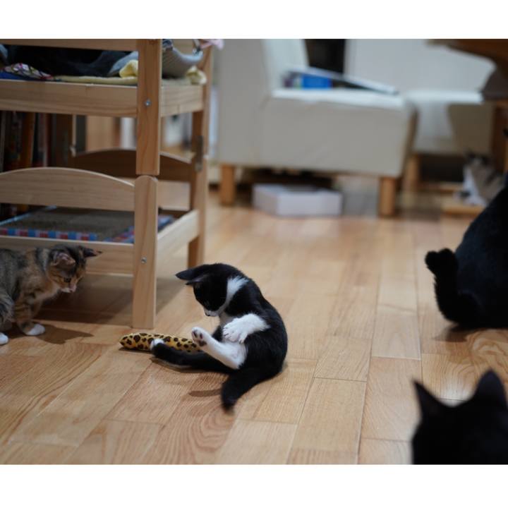 6d75b29a a5d5 43ba b0ce c00a0c2aa4c5 1568731137380