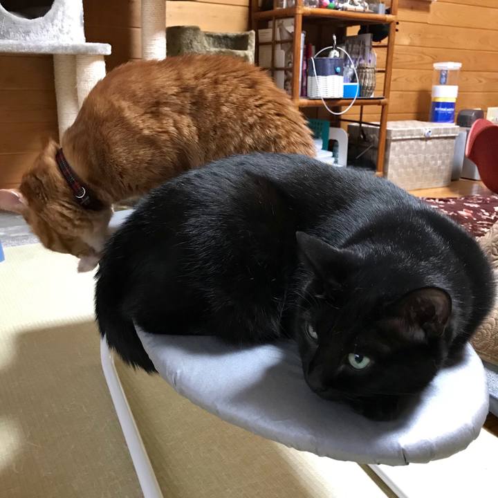 6d75b62e f113 4e07 a6c5 8a7d30703073 1555060356002