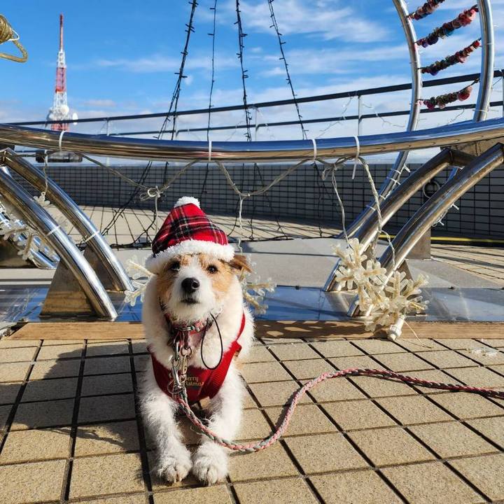 6d75cdad 8f55 4b79 9f9c 2aaac85e29fa 1703418016060