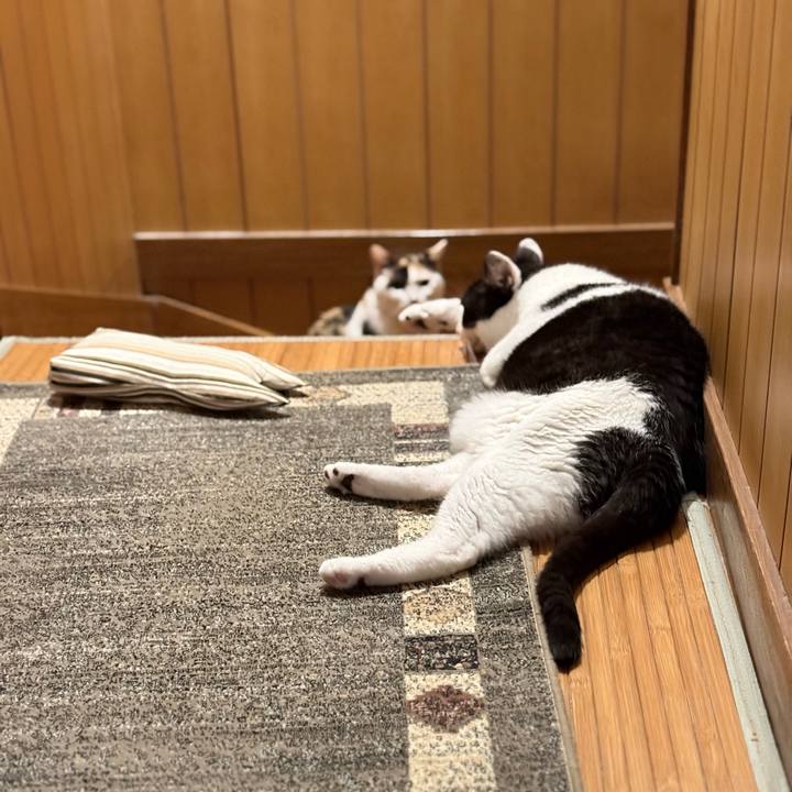 6d75e372 8703 453c 8247 d0801fd6b737 1730077545679