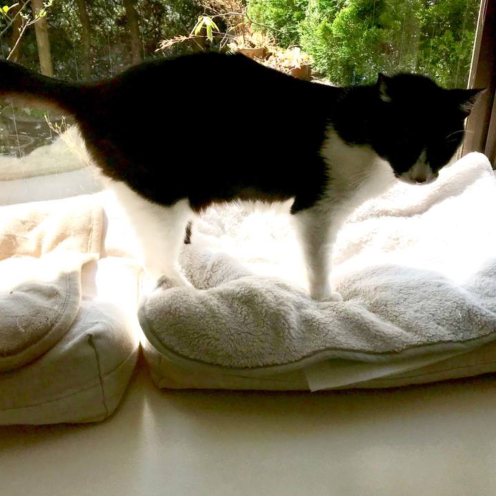 6d75f734 b927 4cef a3e9 6df180ddec05 1522126192046