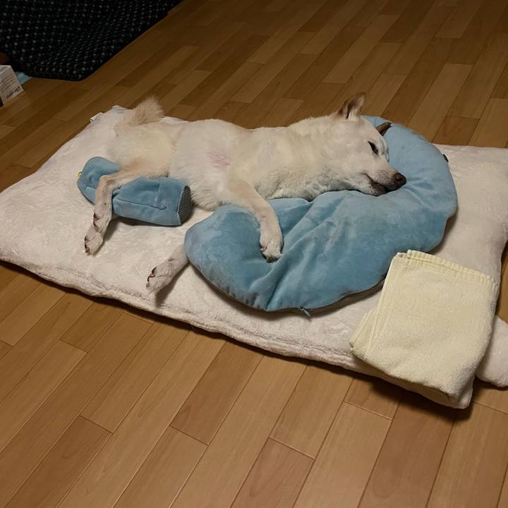 6d7629fe 23f5 4deb b9de 04fcdf346514 1662064994755