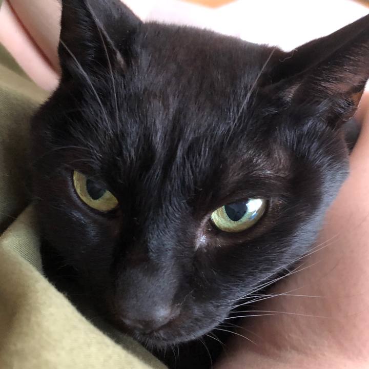 6d765282 5742 498c 85c8 5cdb13611cee 1722043187323