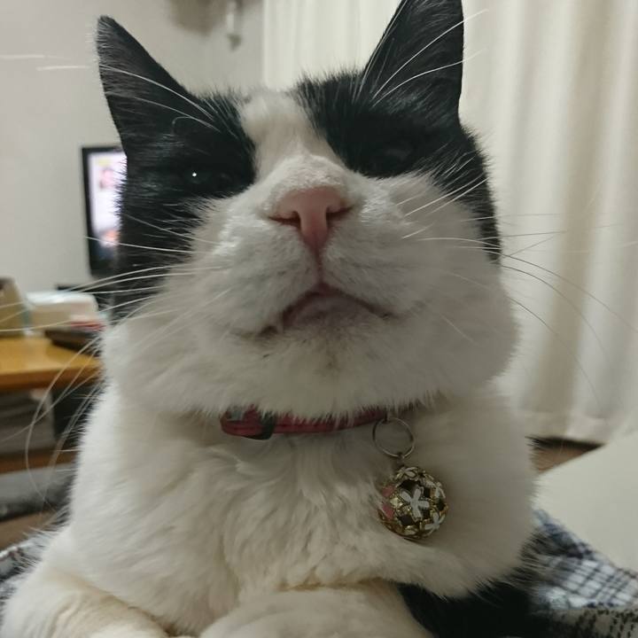 6d767325 4a4b 4772 a0bc cf58d88976c0 1616501719897