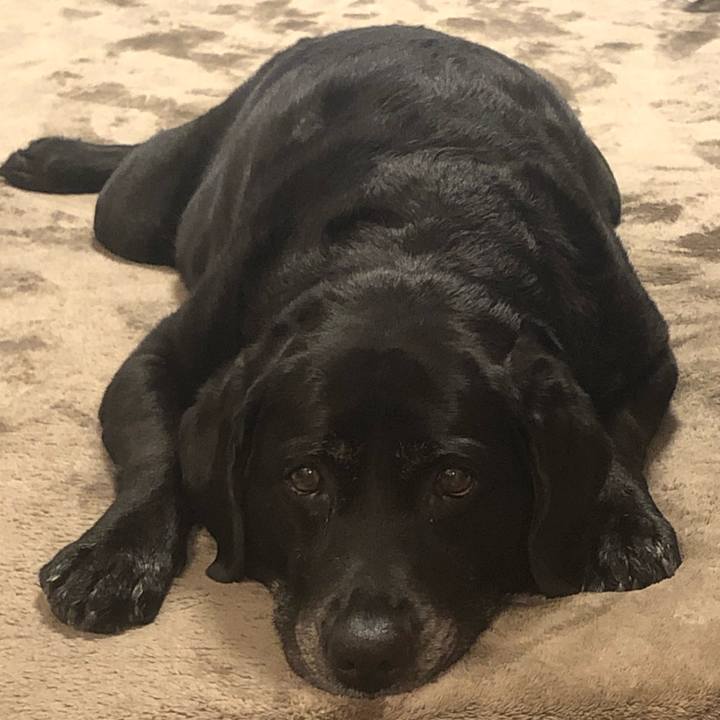 6d7691fc f097 4ea6 97f2 fc08253016f8 1559646489412