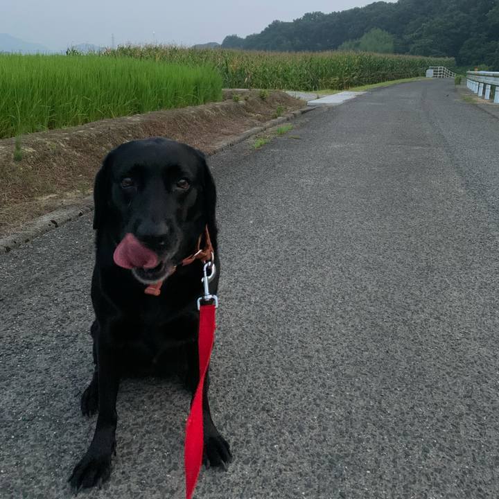 6d7699f2 d7cc 466b a972 58eb5a8b80de 1660378703371