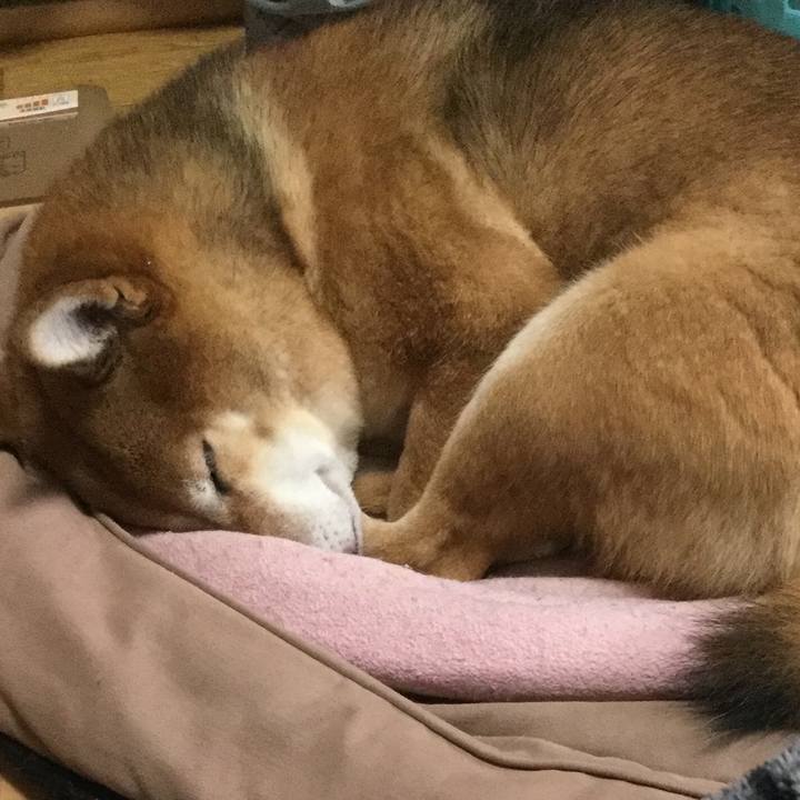 6d76ce00 c90c 423b 8611 139c196a70e9 1572755248062