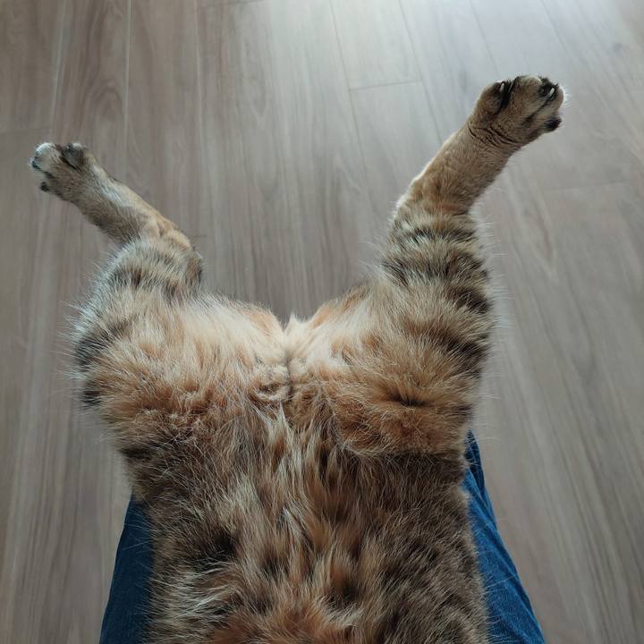 6d76ced8 99ec 42e9 951b bc18867dd635 1729988501787