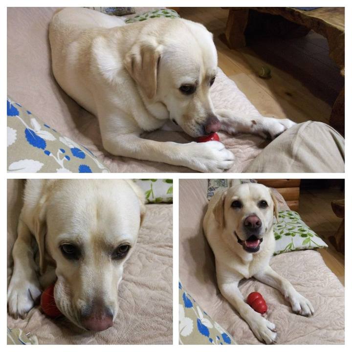 6d76d392 0dc6 45dd 9a01 1371a813b4b7 1561462146933