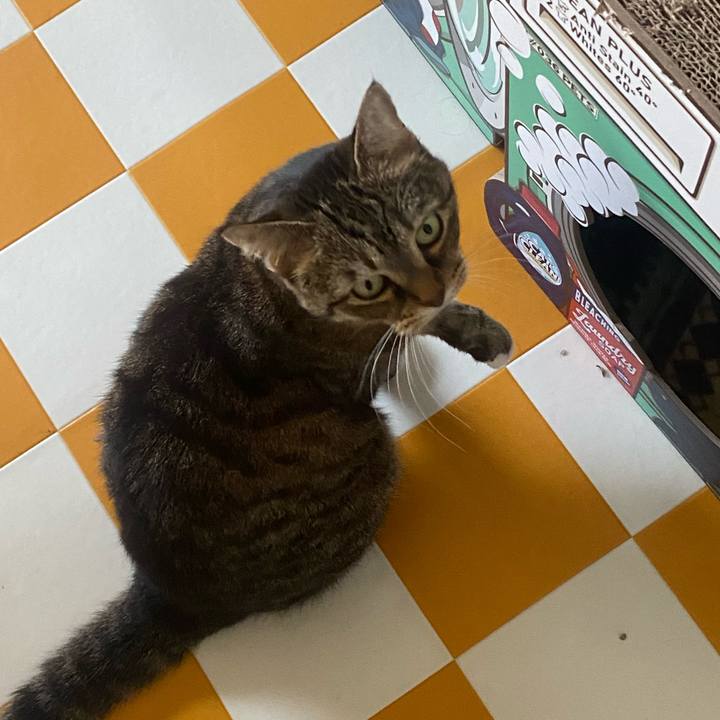 6d76e8c5 9df8 4aab 8e6e 91d93f35e146 1699078398802