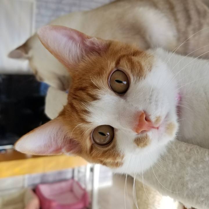 6d76ef18 4775 40d5 a91a b337ee7f5d5d 1514946651075