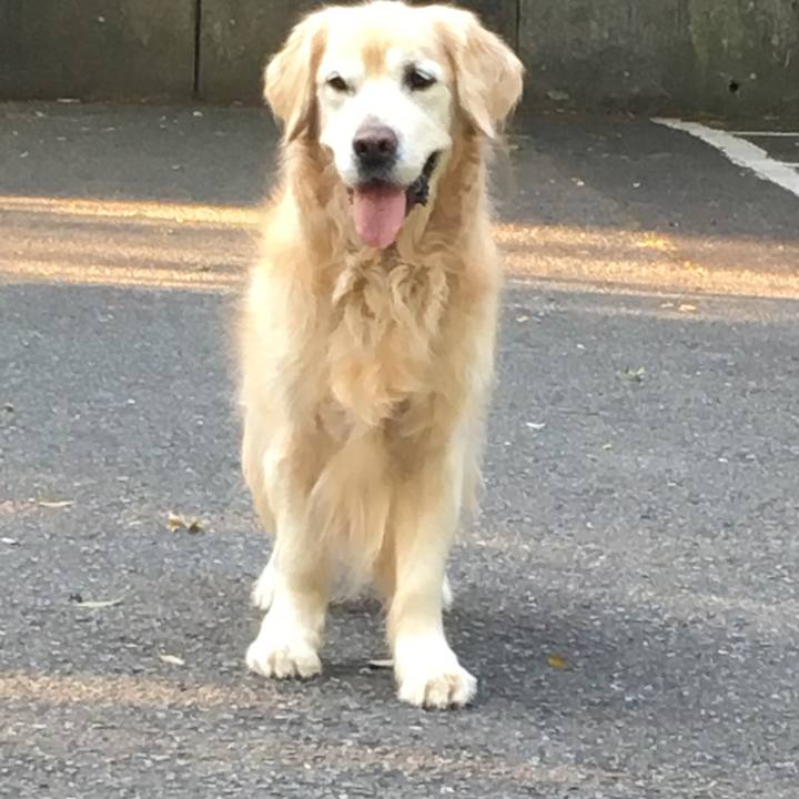 6d771b04 49e5 47c3 8486 3fb5113e44d5 1525470800983