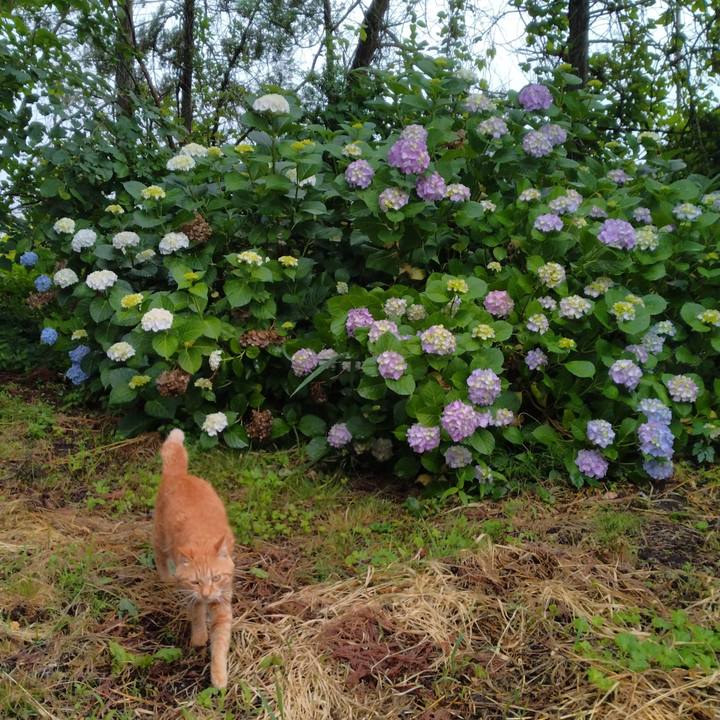 6d774b34 945b 4d0f b731 ccb2dc65d5b4 1719120885085