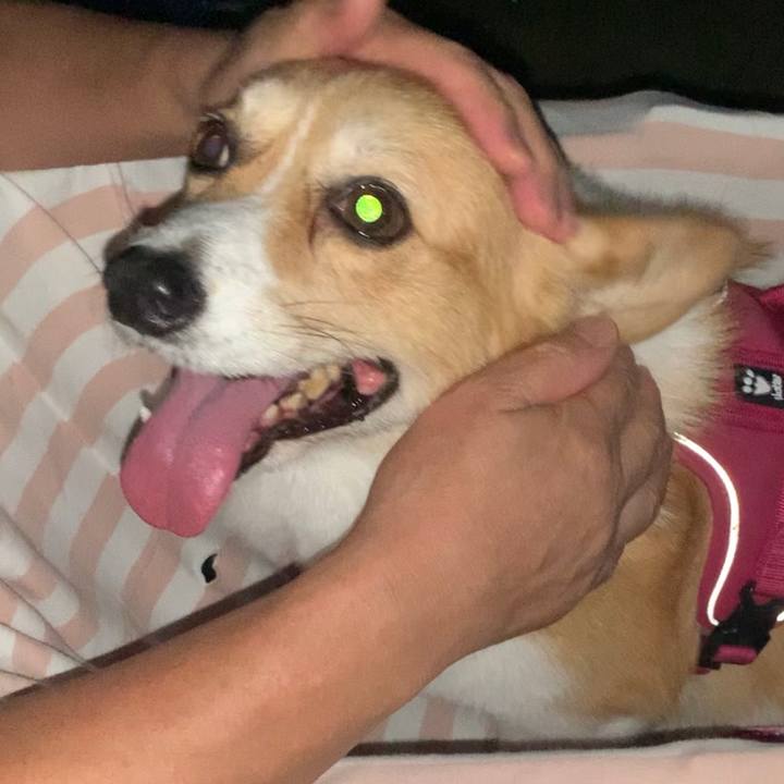 6d776790 a6d8 438c 8e02 a0a570bace02 1694607398731