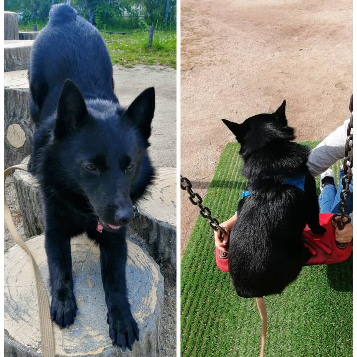 6d7773b5 664e 47fb 8897 a2af63af0ffc 1619914010973