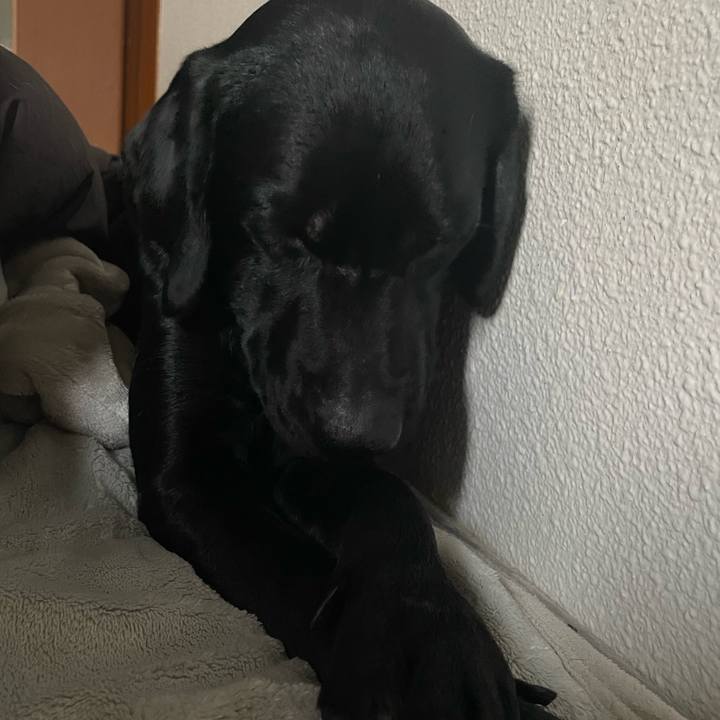 6d7781a9 5982 4556 9fdc db2a9124f793 1644884096263