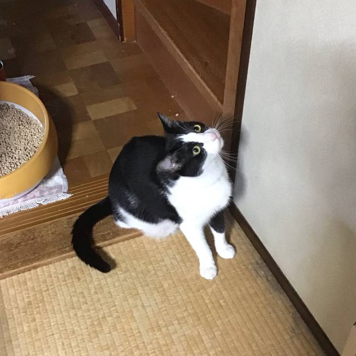 6d77942b 859f 4dfe a5aa da9bbe43b92d 1719102153059