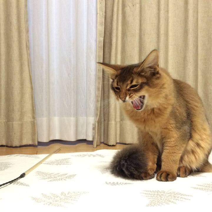 6d779a8e 6b8e 48a5 84cf 8241d634af09 1577399957367