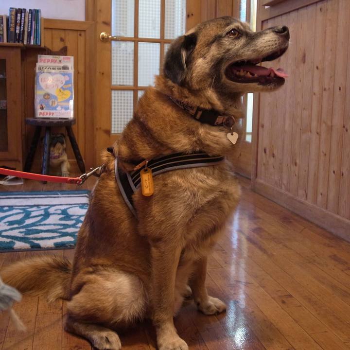 6d77b875 5c8d 4ffa b55b cf5116dacb68 1611101892152